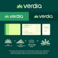 LOGO + BRAND IDENTITY